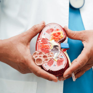 Confort urinaire et Prostate