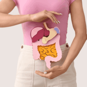 Digestion - Transit intestinal