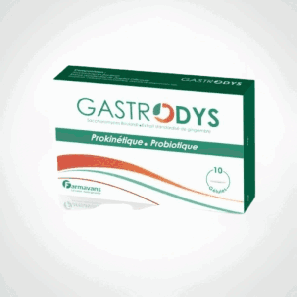 GASTRODYS Boite 10 FARMAVANS