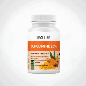 BIOHERBS CURCUMINE 95% 60 GELULES