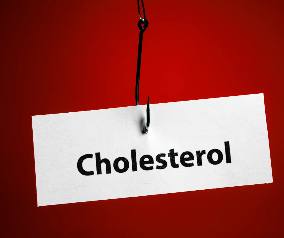 Cholestérol