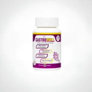 GASTROWELL 30 GELULES WELLNAT PHARMA