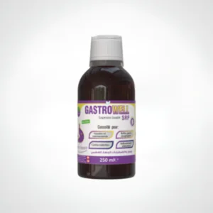 GASTROWELL SIROP 250ML WELLNAT PHARMA